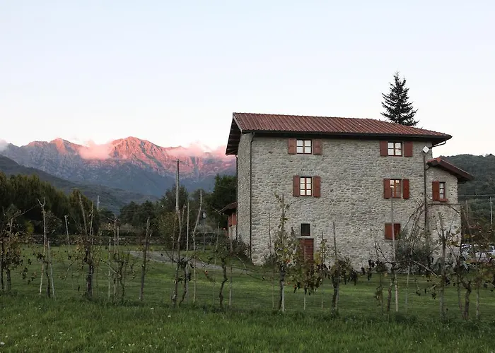 Il Lavaccio
